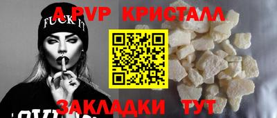 СК Моздок